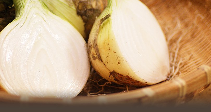 雫 Shizuku 天然染色紗巾 (25x90cm)