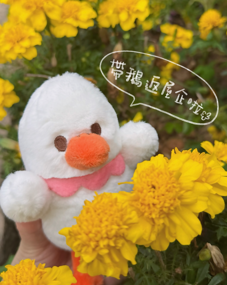鵝寶毛絨公仔