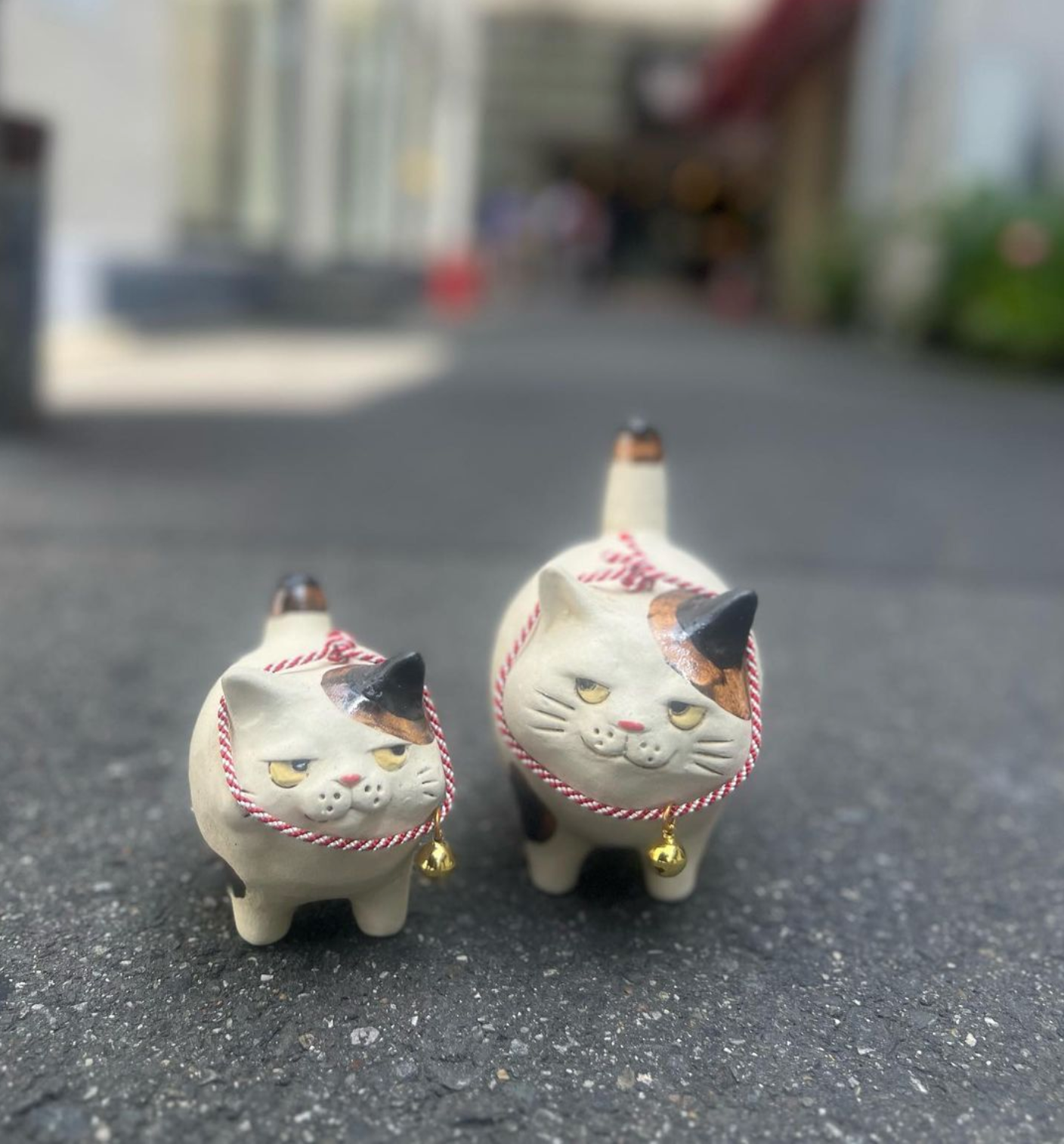 もちもちデブcat (tea tiger) big