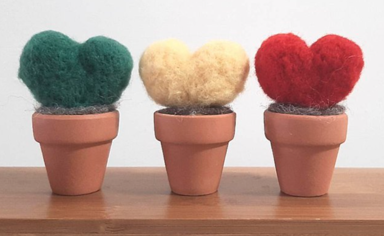 Wool felt material package-love potted plant (with instructional video)