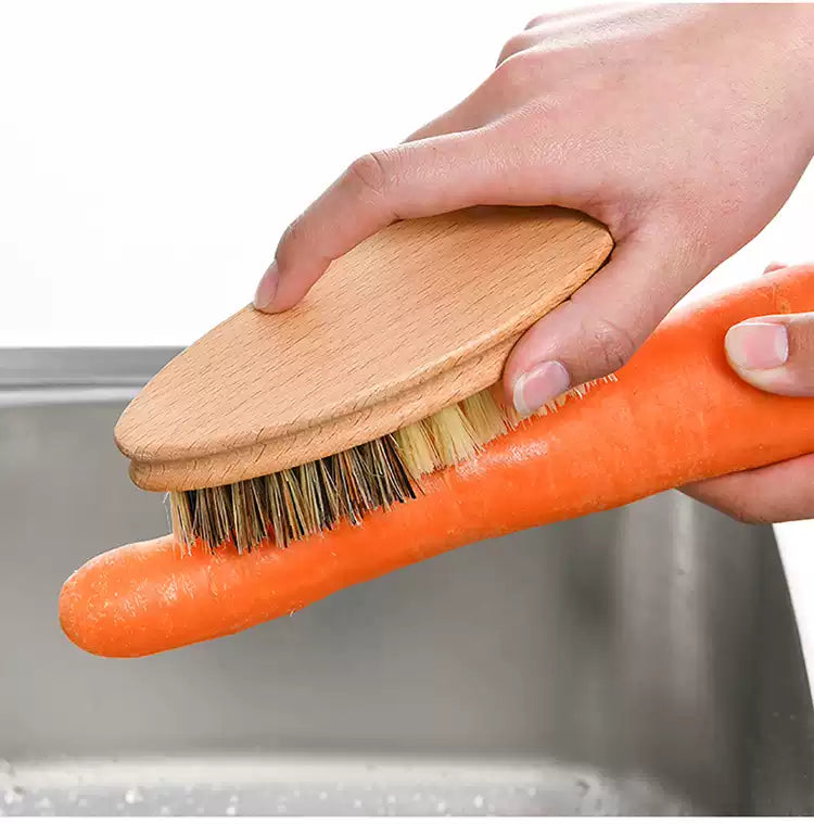 天然椰棕劍麻蔬果用刷