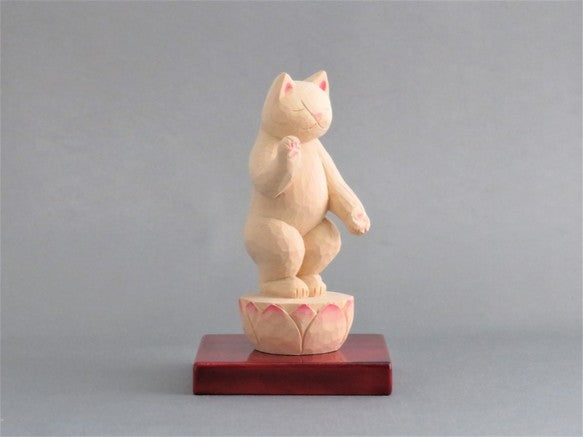 Li ち Amitabha cat