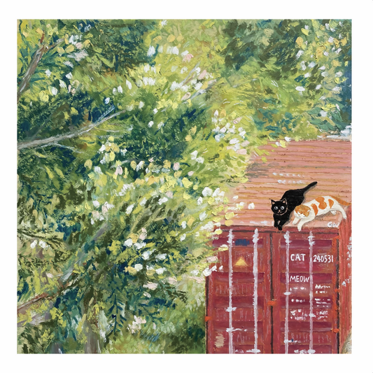 Cat truck