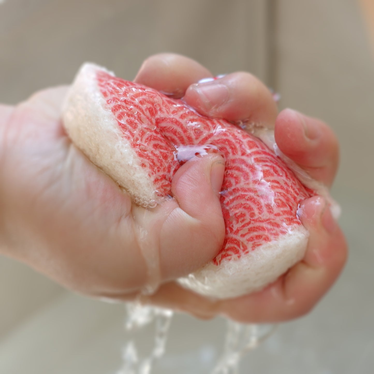 Leaffy plant fiber sponge Izumiko Rising Sun (Red)