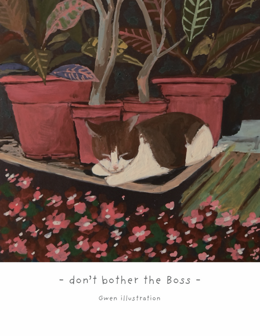 don’t bother the Boss