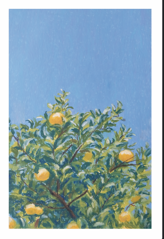 Orange Tree