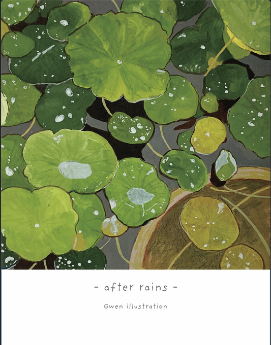 after rains