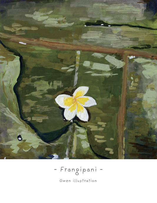 Frangipani
