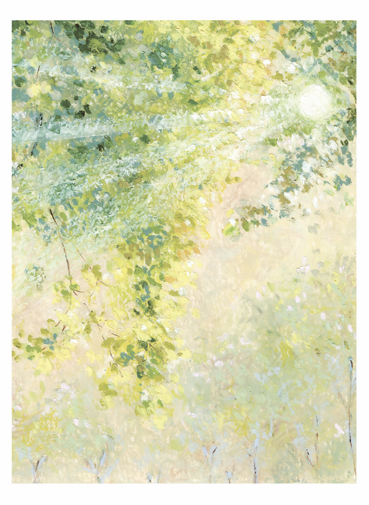 The light